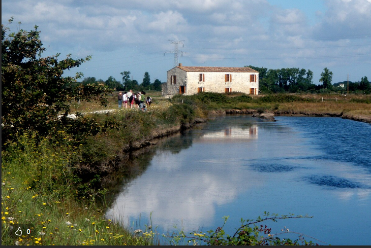 Moulin-des-loges